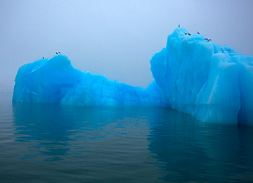 iceberg, alaska glacier tour