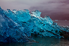 alaska whale watching boat
