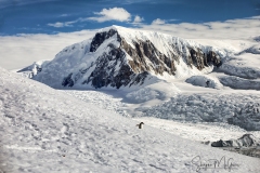 20191711_-Neko_byShayneMcGuire-23