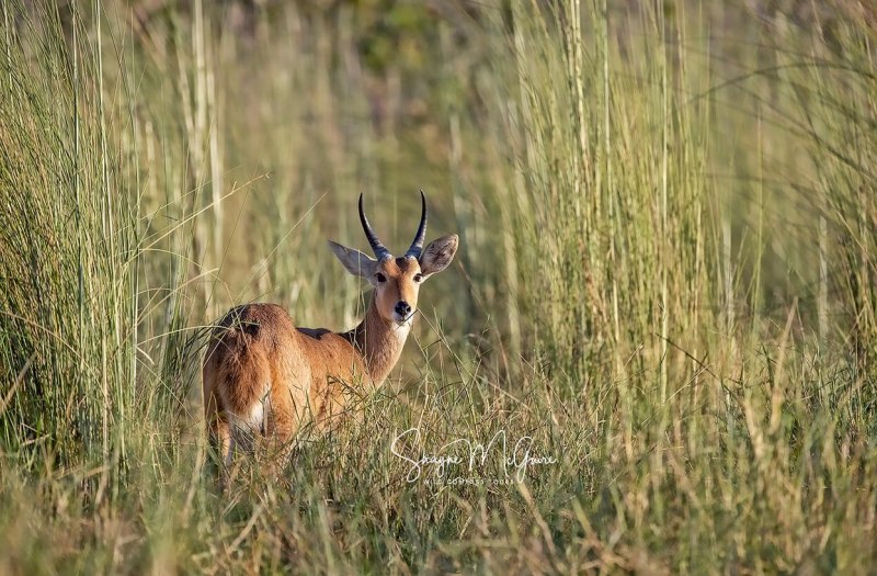 Botswana-2021-Tour_Wild-Compass-Tours-52