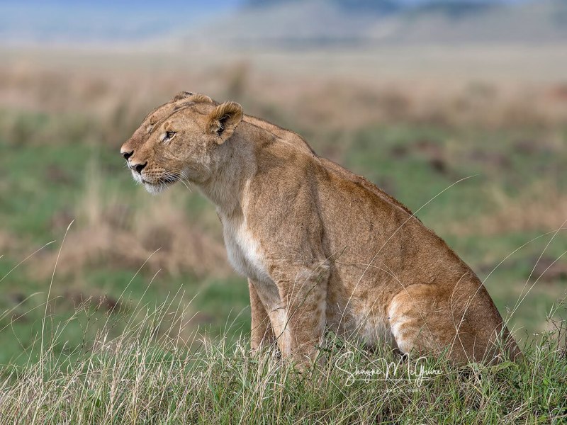 Kenya-2022-Tour_Wild-Compass-Tours-40